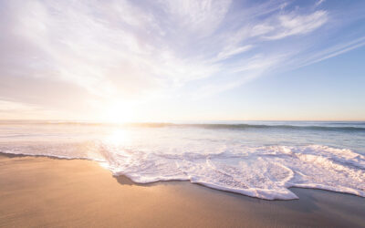 The Ocean